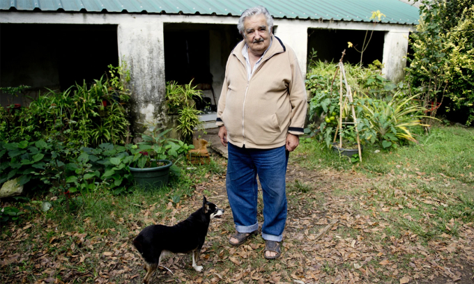 Ông Jose Mujica, khi đang giữ chức tổng thống Uruguay, tại trang trại của mình ở ngoại ô thủ đô Montevideo tháng 5/2014.