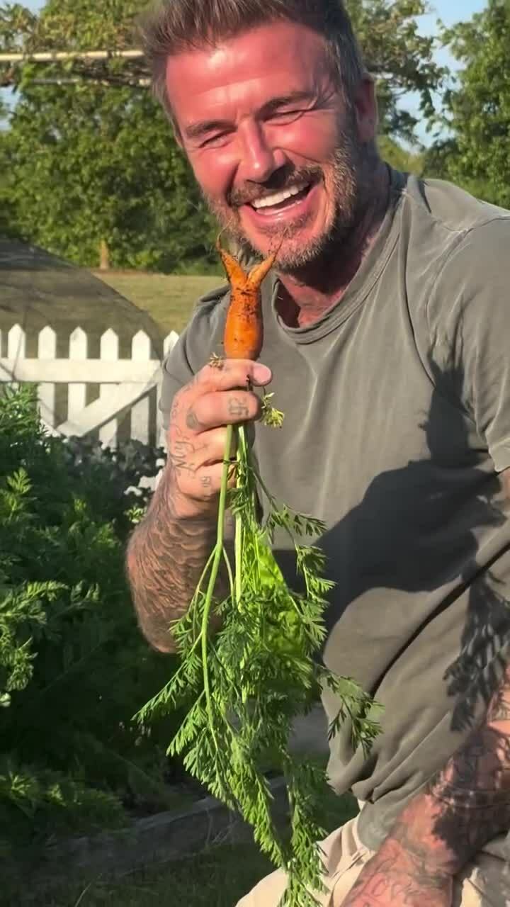 David Beckham thu hoạch cà rốt