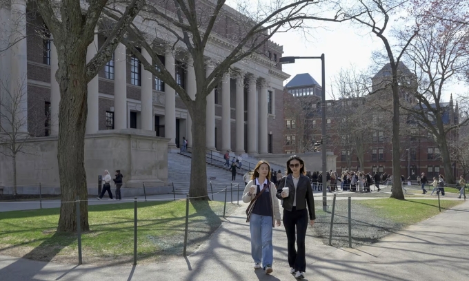 Bên trong khuôn viên Đại học Harvard ở Cambridge, Massachusetts, hồi tháng 4.