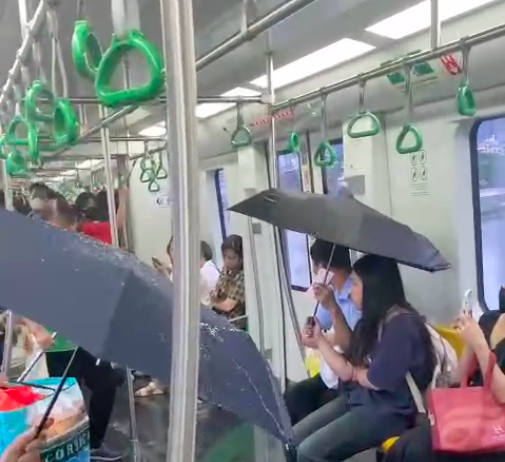 Tàu điện Cát Linh bị 'dột'
