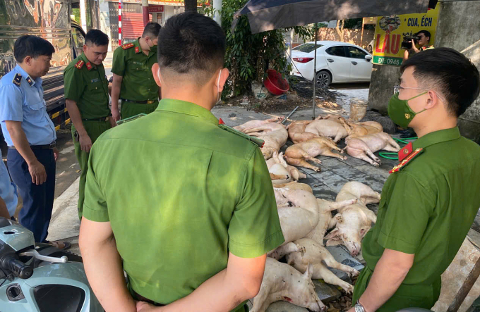 Số thịt heo không đảm bảo an toàn vệ sinh thực phẩm tại nhà hàng ở Vĩnh Yên. Ảnh: QLTT