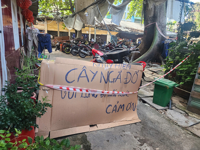 Biển cảnh báo được gắn gần gốc cây gòn. Ảnh: Đình Văn